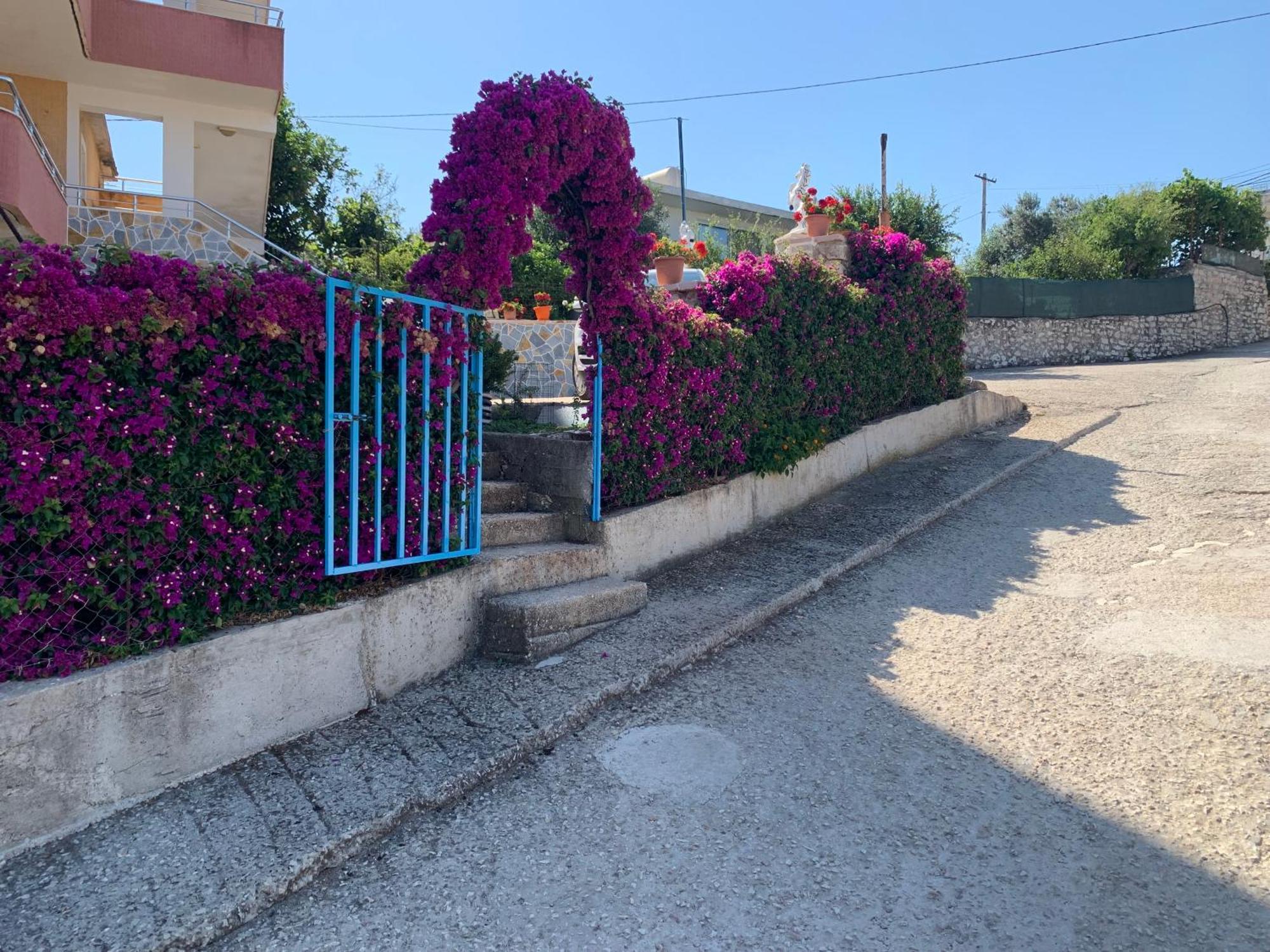 Apartments Vila Ardi Sarandë 外观 照片